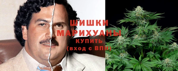 шишки Алексеевка