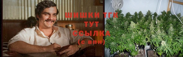винт Абаза