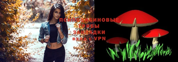 ALPHA PVP Алексин